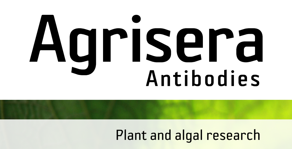 Agrisera MicroRNA相關(guān)研究植物蛋白抗體火熱促銷中！